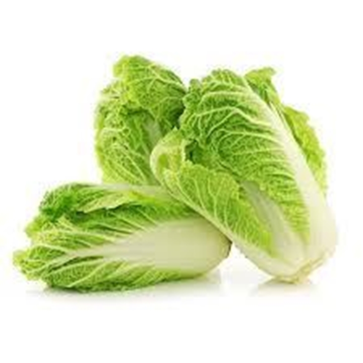 Picture for category Chinese Cabbage